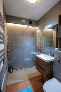 下厄尔什Club Panorama Residence的带淋浴、盥洗盆和卫生间的浴室