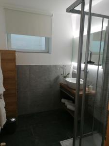 皮茨河谷阿兹尔佳斯特公寓的一间带水槽和镜子的浴室
