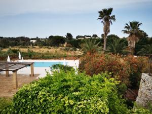 莱乌卡Masseria Serine的一个带野餐桌和棕榈树的游泳池