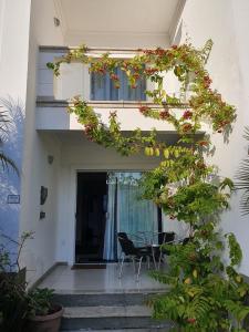塞古罗港Casa Duplex Aconchegante de Frente para o Mar的一个带桌子和鲜花的阳台的房子