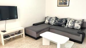 ProžuraVilla Evita Apartments的带沙发和平面电视的客厅