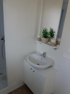 耶泽拉Mobile home Lux otok Murter的白色的浴室设有水槽和镜子