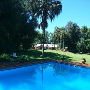 埃尔多拉多Estancia las Mercedes的棕榈树庭院中的游泳池