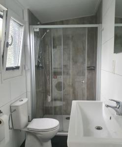 皮滕Klein Ramdal的带淋浴、卫生间和盥洗盆的浴室