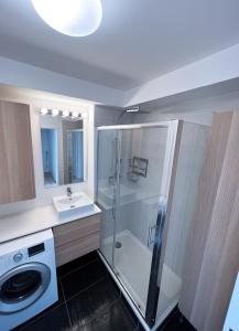圣但尼Charme et Douceur By UTA HOUSE的带淋浴和洗衣机的浴室