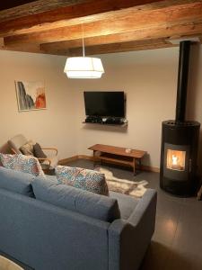 莫尔济讷Chalet Moose的客厅设有蓝色的沙发和壁炉