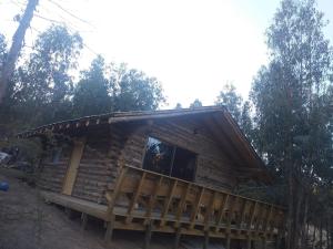 库里科Estancia Don Domingo的树林中的小木屋,设有大窗户