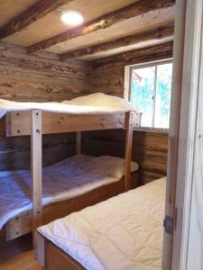 库里科Estancia Don Domingo的小木屋设有两张双层床,配有窗户