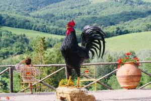 拉达-因基安蒂Agriturismo Borgo Il Bonagino的一只站在围栏上的鸡,站在女人旁边