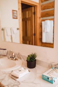 莫兰Teton Cabins的浴室水槽上方有盆栽植物