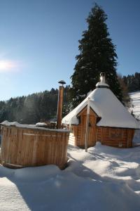拉普特鲁瓦黄金蓓蕾酒店的小木屋设有雪盖屋顶