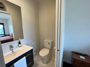 特卡波湖Starry Vista-Alpha的一间带卫生间、水槽和镜子的浴室