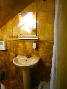 派尔努伊登别墅酒店的浴室设有水槽、镜子和浴帘