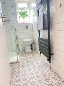塞拉戴克Dragonfly - HOT TUB luxury two bedroom cottage的一间带卫生间和淋浴的浴室