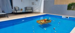 查加基恩Cavo Orient Beach Hotel & Suites的游泳池里的玩具篮