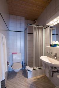 伯尔尼林德斯泰莱赛米娜酒店的浴室配有卫生间、盥洗盆和淋浴。