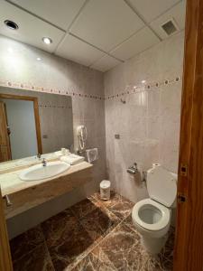 阿尔卡拉德克西韦尔特Hostal Rosaleda的一间带卫生间、水槽和镜子的浴室