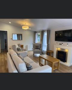 纽波特Llwyngwair Manor, Newport, PEMBROKESHIRE的客厅配有白色家具和壁炉