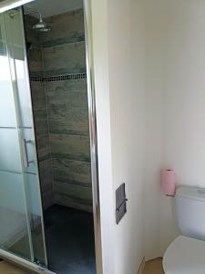 阿纳齐Appartement de 2 chambres avec terrasse amenagee et wifi a Arnage的浴室设有玻璃淋浴间和卫生间