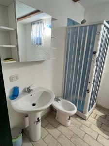 卡帕尔比奥La Casetta Blu的一间带水槽、淋浴和卫生间的浴室