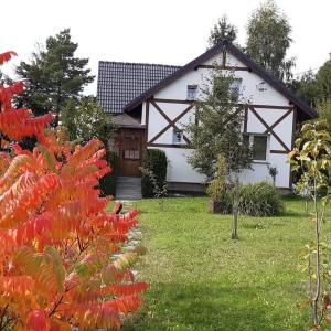 DziwiszówKarkonoski Widok的前面有红花的白色房子