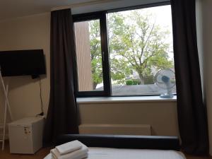 派尔努Aisa Street apartments的卧室设有窗户和风扇