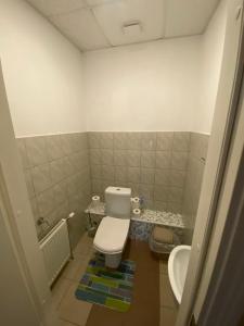 AizkraukleVILAR HOSTEL的一间带卫生间和水槽的小浴室