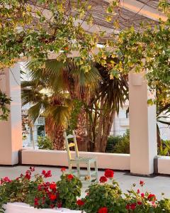 萨兰达萨兰达酒店的花丛花园中的椅子