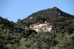 Bocca del OroRESIDENCE PUNTA SERENA的山边的房子