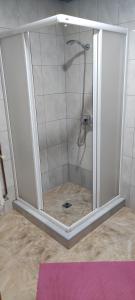 兹拉蒂博尔Apartment Bućić的浴室里设有玻璃门淋浴