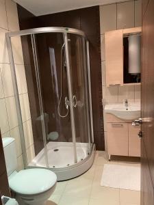 拉夫达Rich-3 SP apartments的带淋浴、卫生间和盥洗盆的浴室