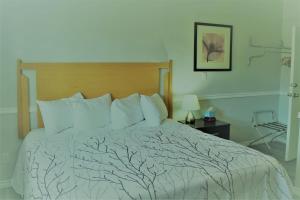 奥索尤斯Westridge Motor Inn的一张位于酒店客房的床铺,配有一张带树木图案的毯子