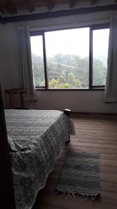 阿尤鲁奥卡Chalé Sabiá的一间卧室设有一张床和一个大窗户