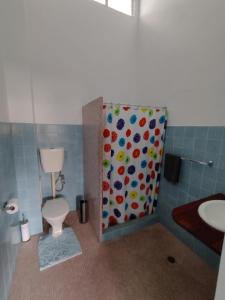 艾尔Ayr Hotel的浴室配有卫生间、淋浴和盥洗盆。