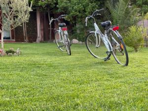 圣特奥多罗Casa Vacanza Li Menduli San Teodoro的两辆自行车停在草地上