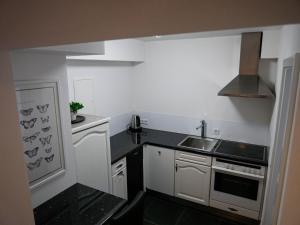 格门德蒂格斯Helles 2-Zimmer-Apartment in Ostin am Tegernsee的一间带水槽和炉灶的小厨房