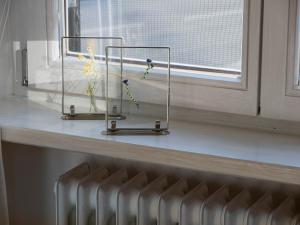格门德蒂格斯Helles 2-Zimmer-Apartment in Ostin am Tegernsee的窗台上摆着两瓶花花