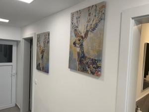 格蒙登Ferienhaus Gmunden的走廊墙上的三幅画