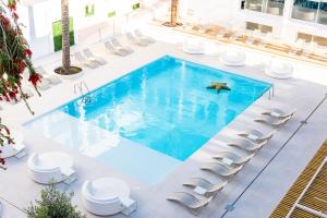 圣安东尼奥伊维萨莱斯酒店 - 仅限成人入住的一个带椅子的游泳池,水中鸟
