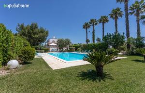 卡萨拉诺Villa Pompea al piano terra的棕榈树庭院内的游泳池