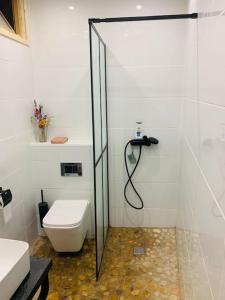 MaellaCasa del Aire - Patio Apartment的一间带卫生间和玻璃淋浴间的浴室