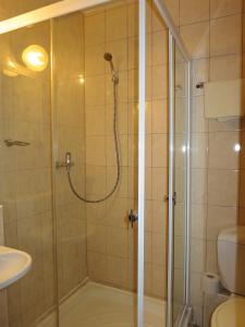 布拉迪斯拉发Retro Hotel Suza的带淋浴的浴室和玻璃门
