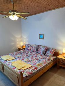 ObrochishteПриятна къща за почивка Караколев 2的卧室内的一张床位,配有两张床头柜