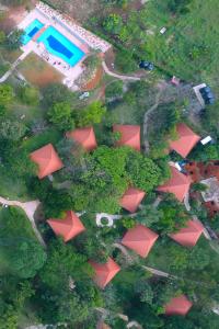 HoimaKabalega Resort - Hoima的享有树木和游泳池的公园空中景致