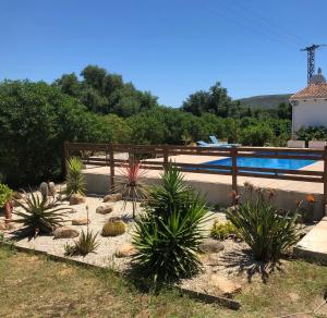 哈维亚Casita in Javea with garden and pool - dog friendly!的游泳池前种有植物的花园