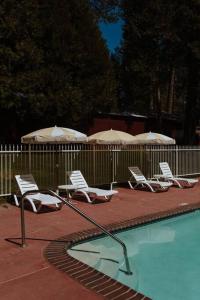 Long BarnThe Long Barn Lodge的一组椅子和遮阳伞,位于游泳池旁