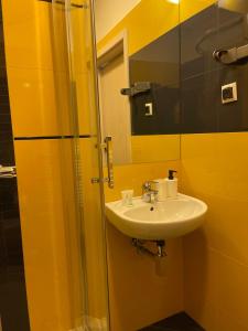 奥尔库什Apartamenty Centrum的一间带水槽和淋浴的浴室