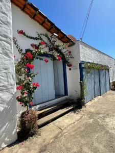 皮雷诺波利斯Pouso do Rio的白色的建筑,上面有一扇鲜花门