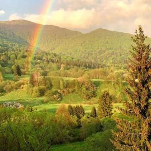 韦特利纳Przystanek Smerek的树丛中的一个彩虹