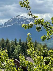 亚布卢尼齐亚布里车内巴乡村民宿的远处的雪覆盖的山,树木覆盖